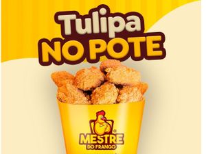 Tulipa no Pote G