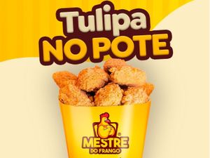 Tulipa no Pote M