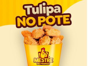 Tulipa no Pote P