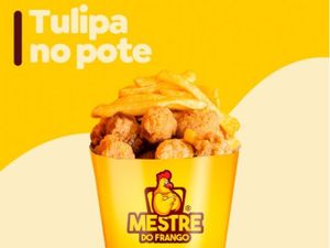 Tulipa no Pote G