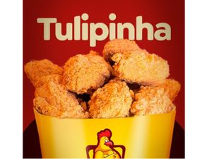 Tulipa no Pote M