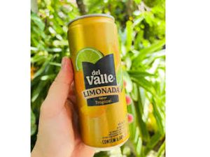 Suco Del Valle Limonada Tropical Lata