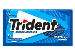 Trident HORTELÃ