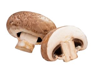 + Champignon