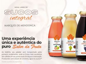 SUCO 100% INTEGRAL 300ml