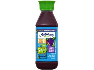 NATURAL ONE UVA 100% SUCO
