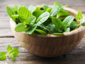 Adicional de hortelã