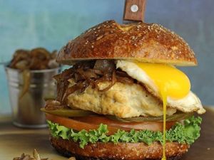 Frango x egg