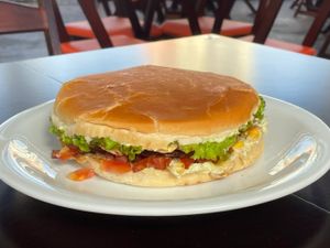 Xis strogonoff de gado