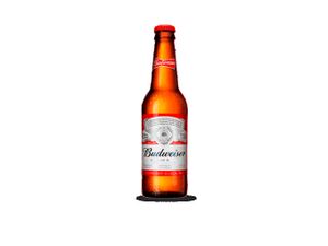 Cerveja Budweiser long neck