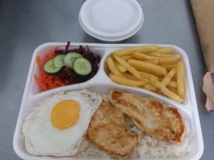 2 Ala minutas filé de Frango grelhado