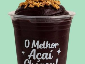 Açaí Zero Açúcar 330 ml