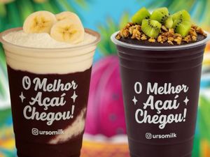 Combo Urso 02 Açaís 330 ml