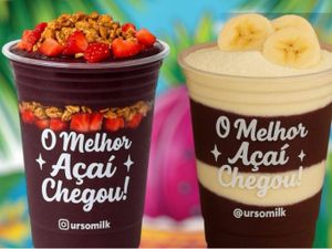 Combo Urso 02 Açaís 550 ml