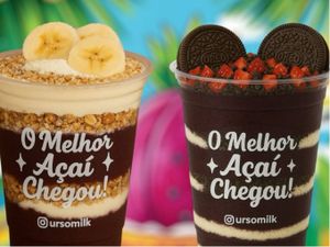 Combo Urso 02 Açaís 770 ml
