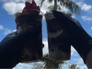 2 COPOS DE 500ML DE AÇAI