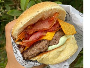 Arnold schwarzenegger