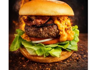 X-TUDO DUPLO ARTESANAL + FRITAS SIMPLES