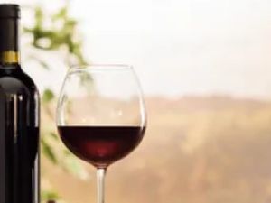 Vinho Taça