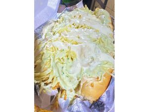 FURIOSO DOGÃO
