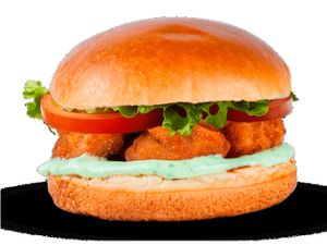 FNP BURGER SALADA