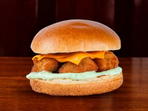 FNP Burger de Frango