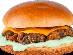 FNP Burger de Alcatra