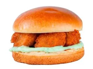 B3- Chicken Especial