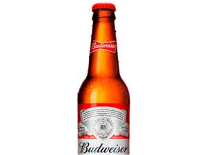 Budweiser Long Neck