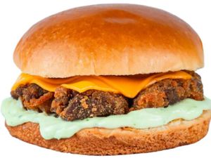 Burguer de Alcatra