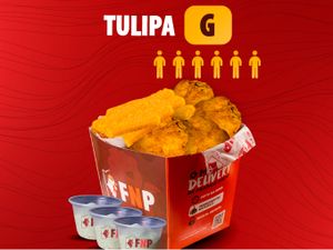 POTCHÊ TULIPA G (MEIO DA ASA)