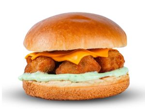 FNP Burguer de Frango