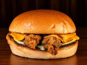 FNP Burger de Alcatra