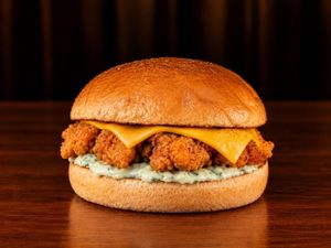 FNP Burguer de Frango