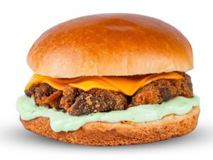FNP BURGUER DE ALCATRA