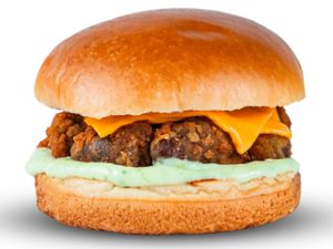 FNP BURGUER DE CORAÇÃO