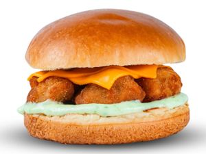 FNP BURGUER DE FRANGO