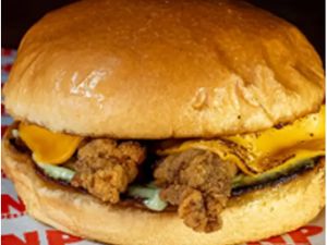 BURGER ALCATRA + FRITAS