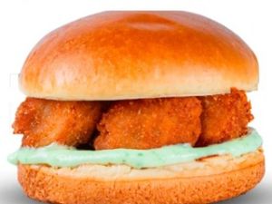 Burguer Chicken Especial