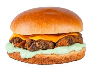 FNP Burger de Alcatra - COMPLETO