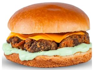 FNP BURGUER ALCATRA