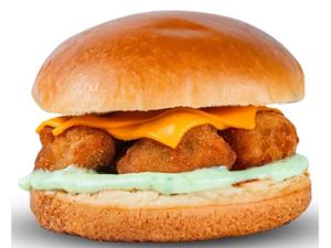 FNP BURGUER FRANGO