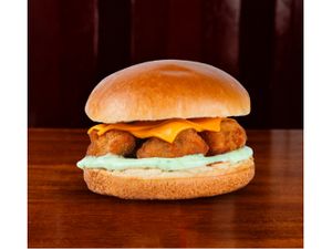 FNP Burguer de Frango