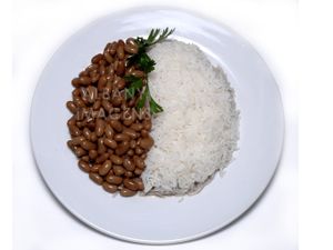 Comercial Sem Proteina