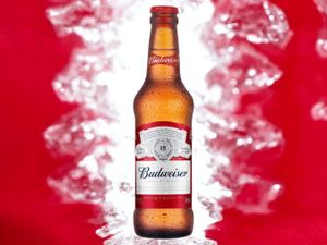 Budweiser long neck