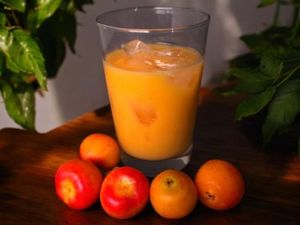 Suco de butiá