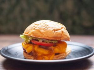 Gruta Veg Cheddar