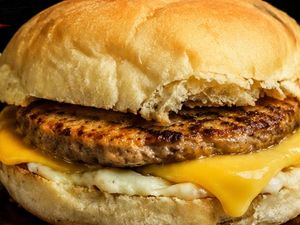X-Burger Simples - Pão, carne e queijo.