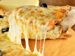 Frango com Catupiry Original