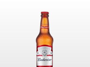 Budweiser Long Neck 330ML